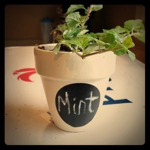 Meet your Posher, K allison